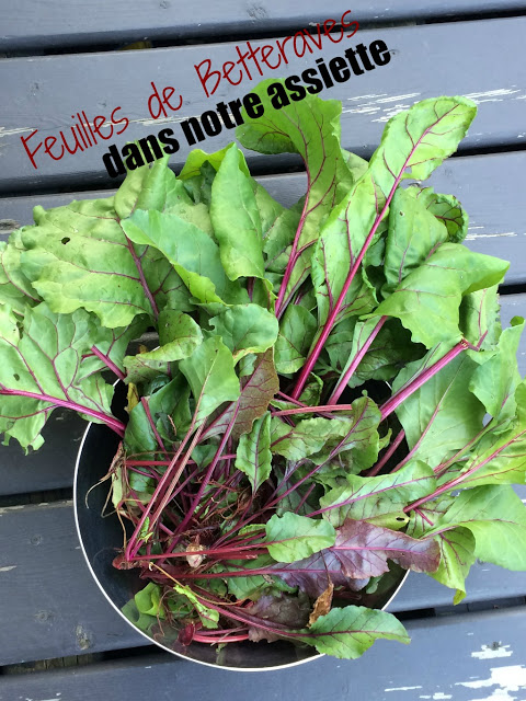 5 façons d'utiliser les feuilles de betteraves Cinq Fourchettes