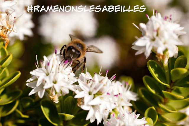 #Ramenonslesabeilles Cinq Fourchettes