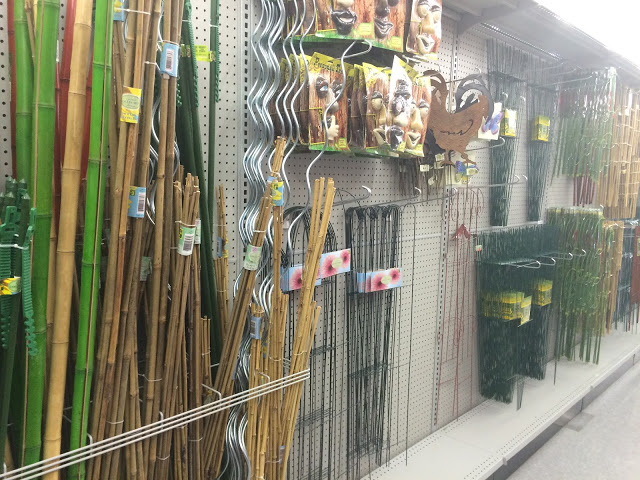 tuteurs en bambou de jardinage au dollarama