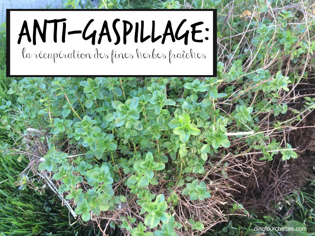 faire sécher les fines herbes Cinq Fourchettes