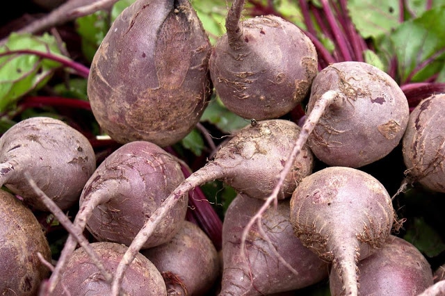 Faire ses conserves avant l'hiver + 4 recettes qui ne nécessitent pas d'autoclave Cinq Fourchettes