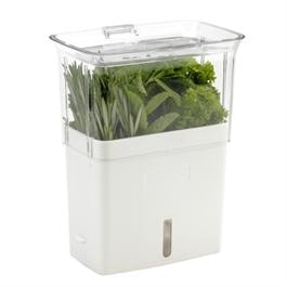 danh105159wh-v-conservateur_pour_herbes_fraiches