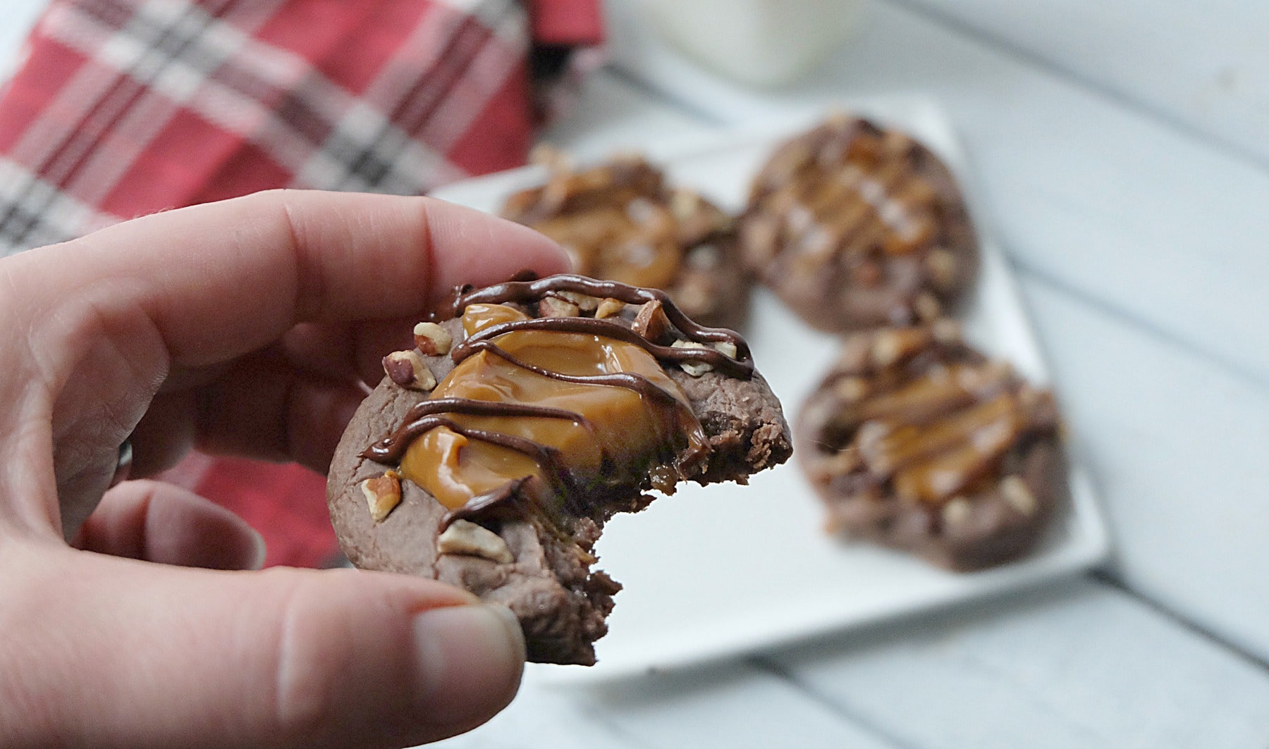 biscuits-turtles-2