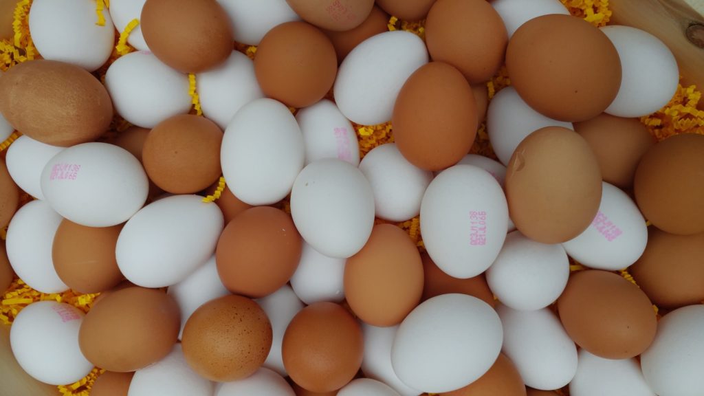 Marché éphémère + 3 recettes de sandwichs à déjeuner aux oeufs nutritifs ! / Cinq Fourchettes