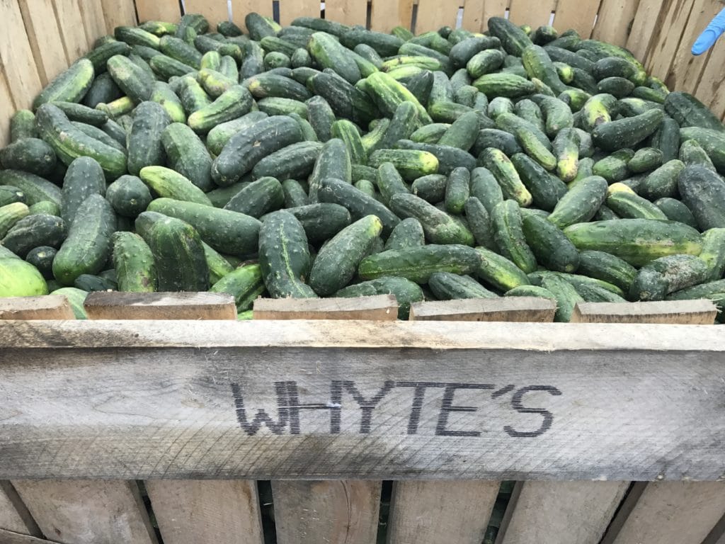 Découvrons les produits d’ici : 3 coups de coeur/ Cinq Fourchettes
