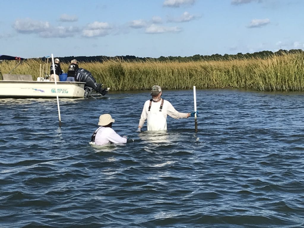 Une route des huitres, ça vous dit ? Bienvenue à Virginia Beach ! Cinq Fourchettes