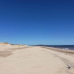 La gastronomie des Îles-de-la-Madeleine Cinq Fourchettes