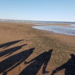 La gastronomie des Îles-de-la-Madeleine Cinq Fourchettes