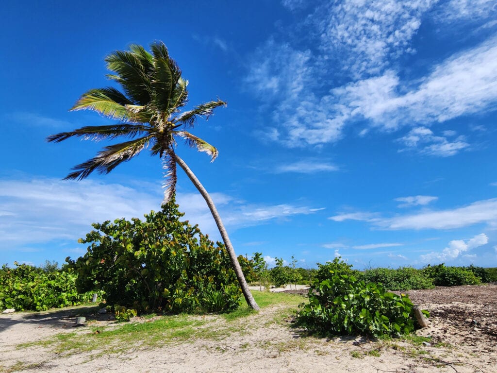 voyage Saint Martin Cinq Fourchettes