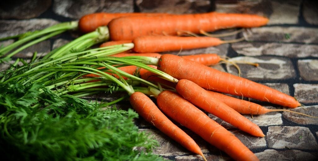 comment gérer son réfrigérateur pour éviter de perdre les aliments
