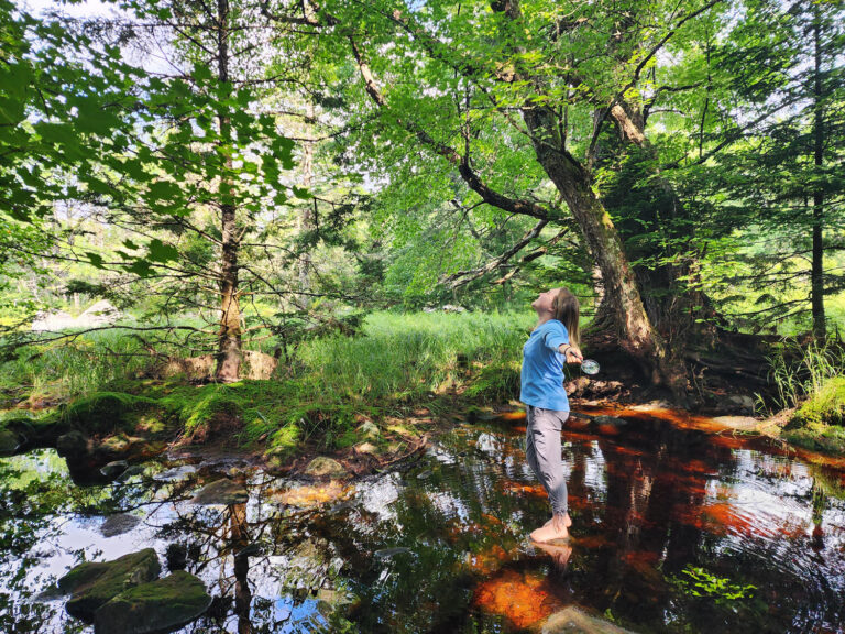 une cocotte dans les bois récit personnel Trout Point Lodge Nova Scotia Nouvelle Écosse Forest Bathing Cinq Fourchettes